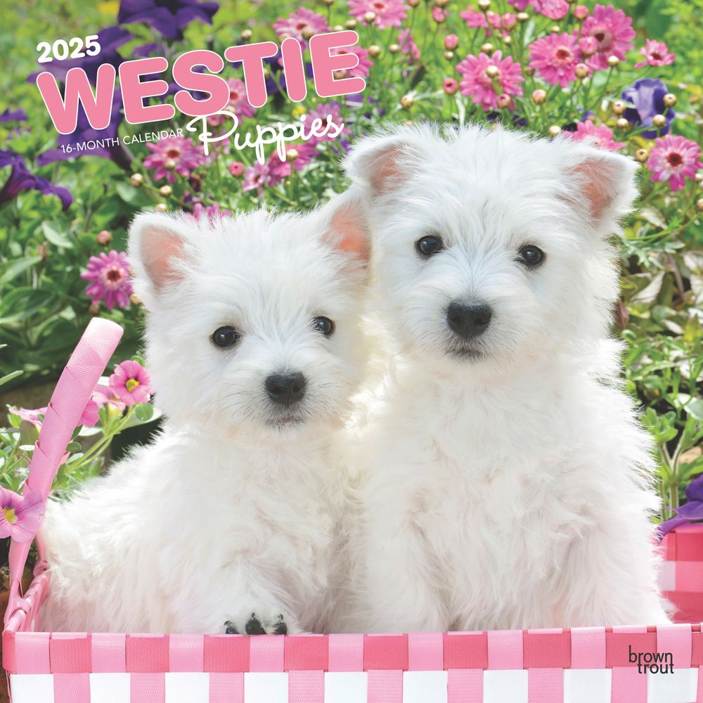 2025 West Highland White Terrier Puppies Calendar