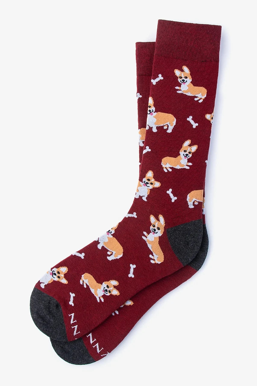 Socks Corgi Gang