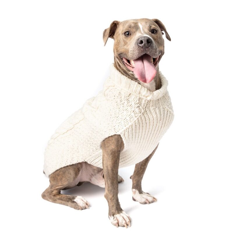 Dog Sweater Natural Cable Knit