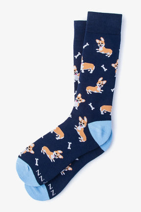 Socks Corgi Gang