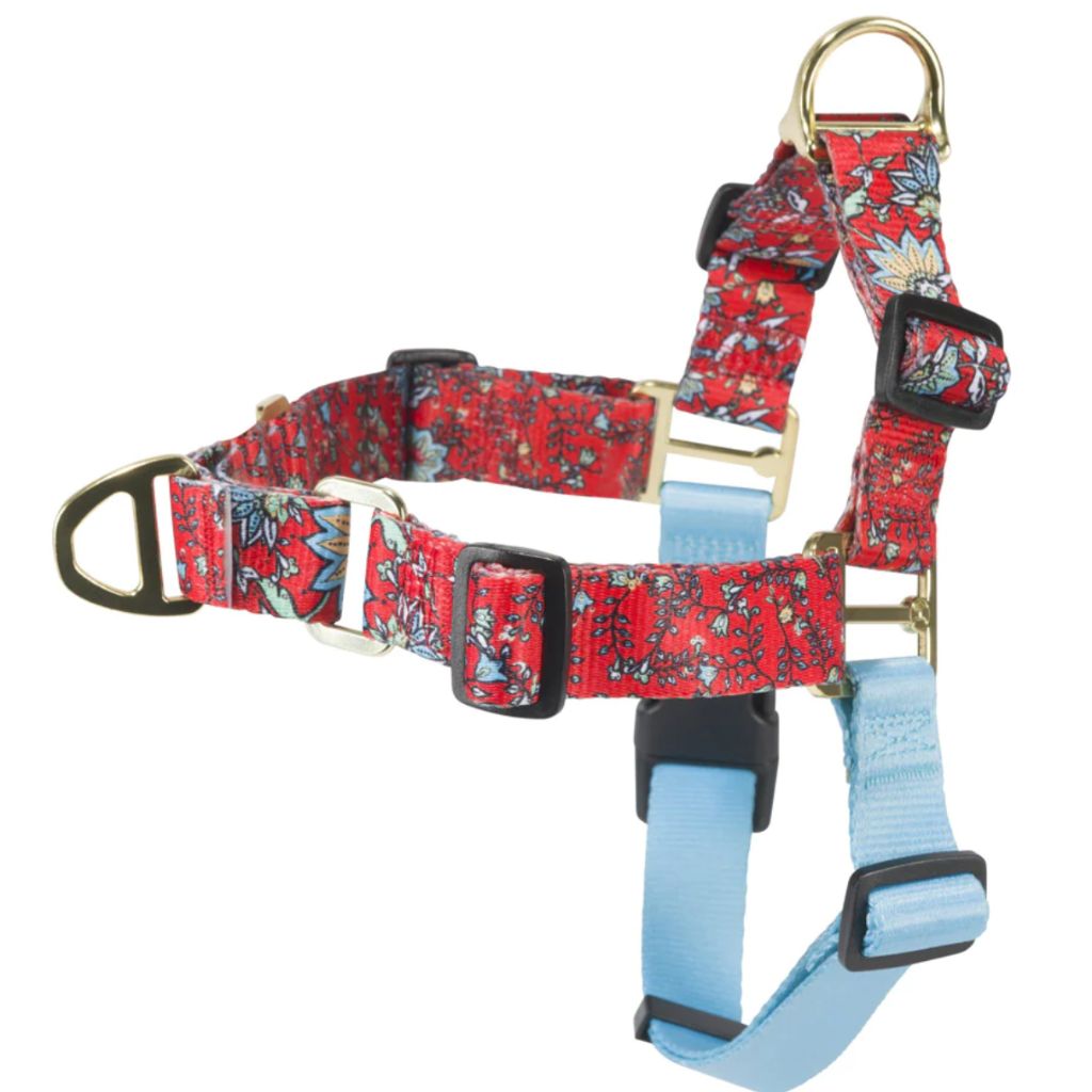 Hooey Pet Walking Harness - Western Floral