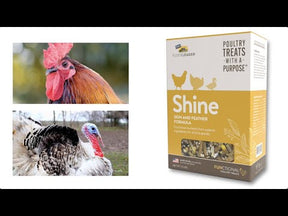 Perdue Shine for Poultry Treat