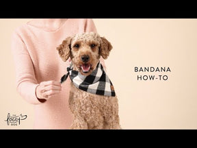 Bandana Dog Blooming Plaid