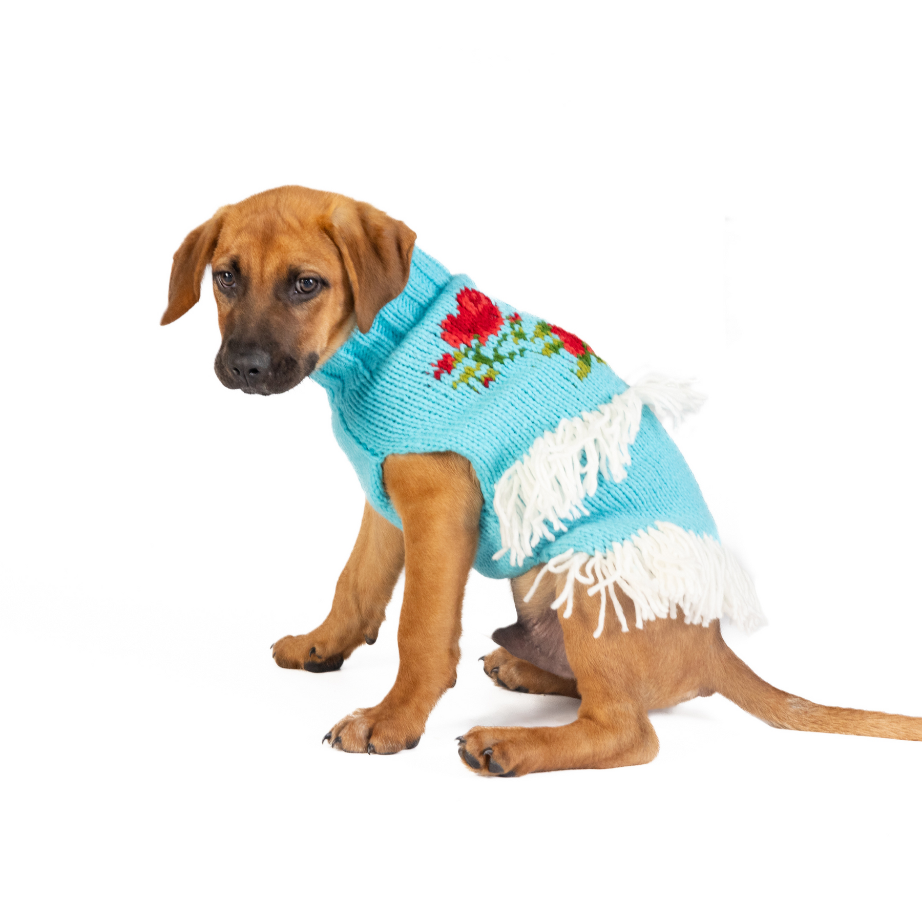 Dog Sweater Rodeo