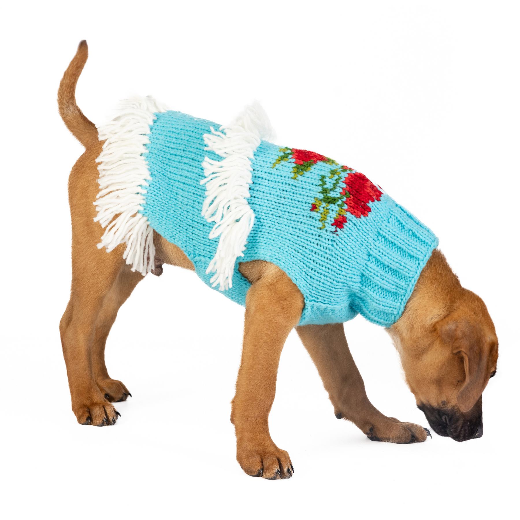 Dog Sweater Rodeo