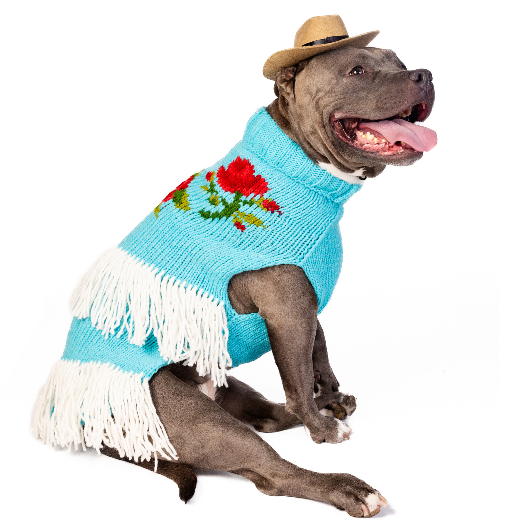 Dog Sweater Rodeo