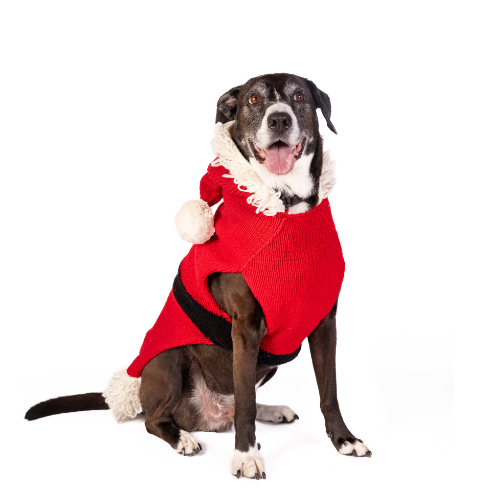 Dog Sweater Santa