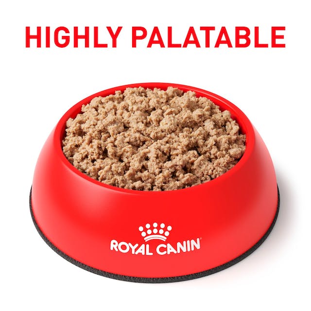 Royal Canin Veterinarian Diet - Canine Weight Control Loaf in Sauce Can