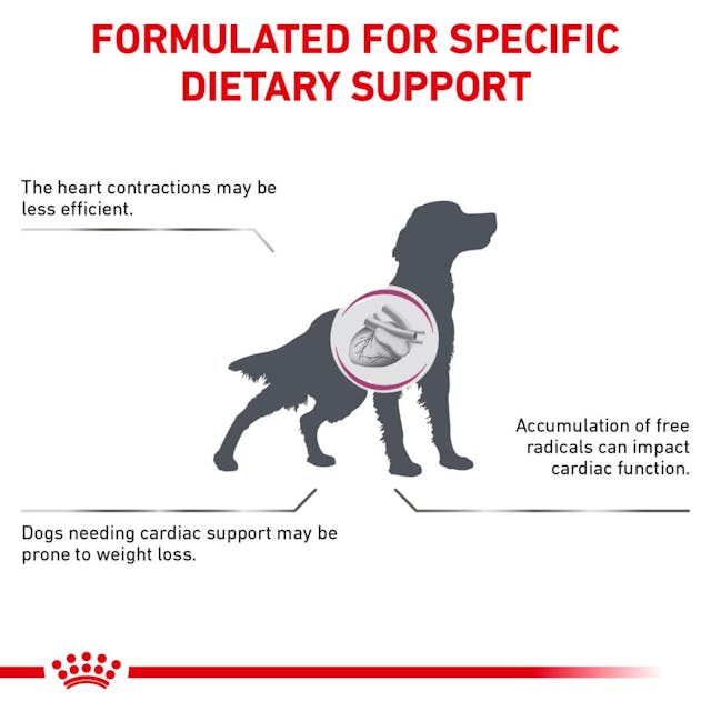 Royal Canin Veterinary Diet - Renal Support "D", "Delectable" Canned Dog Food