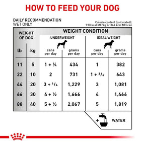 Royal Canin Veterinary Diet - Renal Support "D", "Delectable" Canned Dog Food