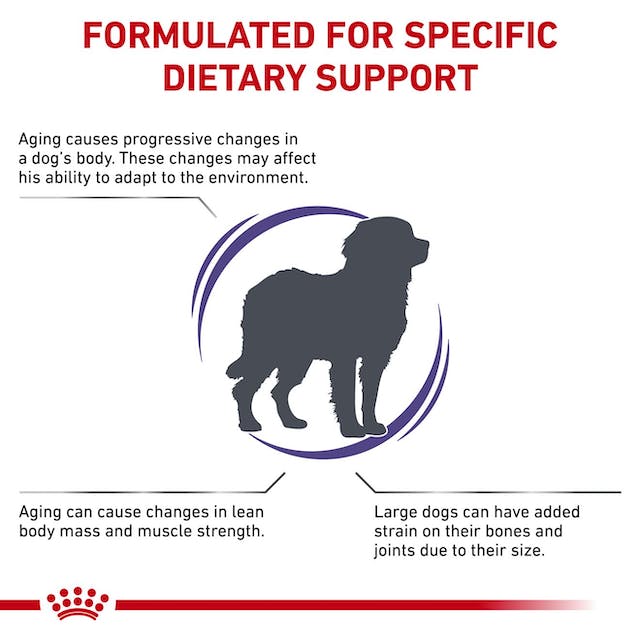 Royal Canin Mature Consult Large Dog Dry