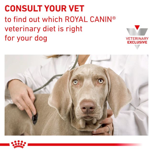 Royal Canin Veterinarian Diet - Canine Weight Control Loaf in Sauce Can