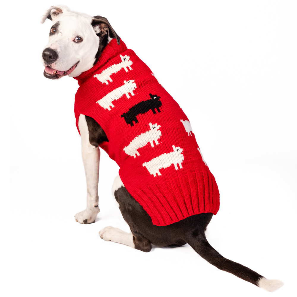 Dog Sweater Black Sheep