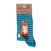 Sock Fox "Born to Be Wild"