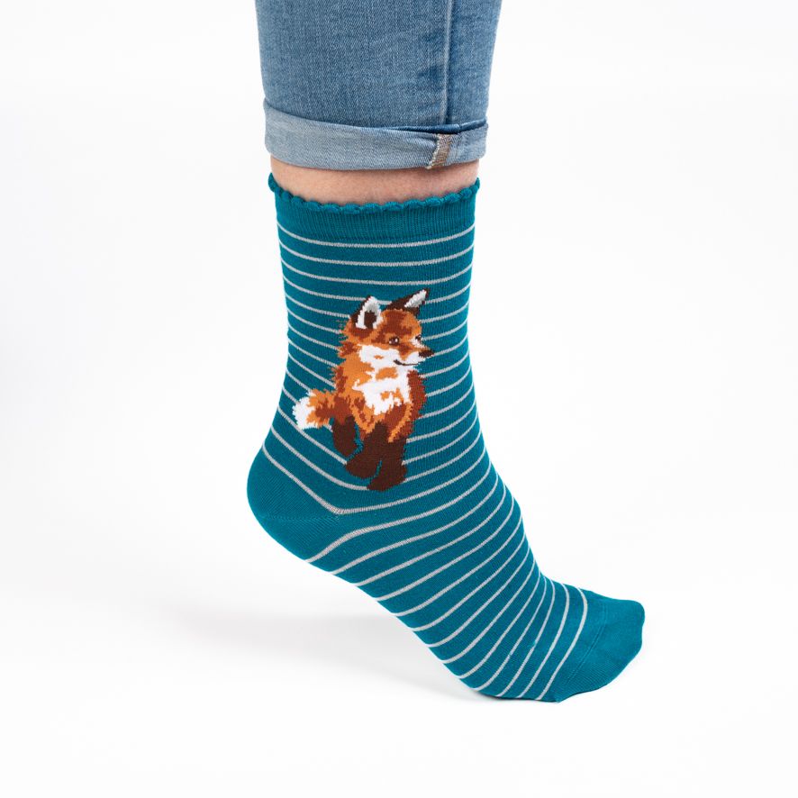 Sock Fox "Born to Be Wild"