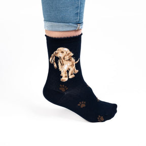 Sock Dog "Hopeful" Navy