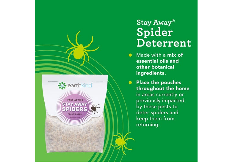 Stay Away Spiders Tray