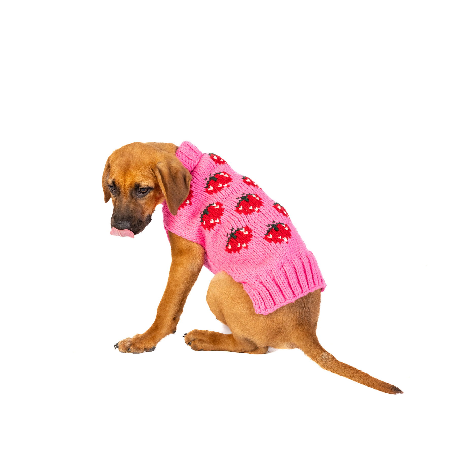 Dog Sweater Strawberry