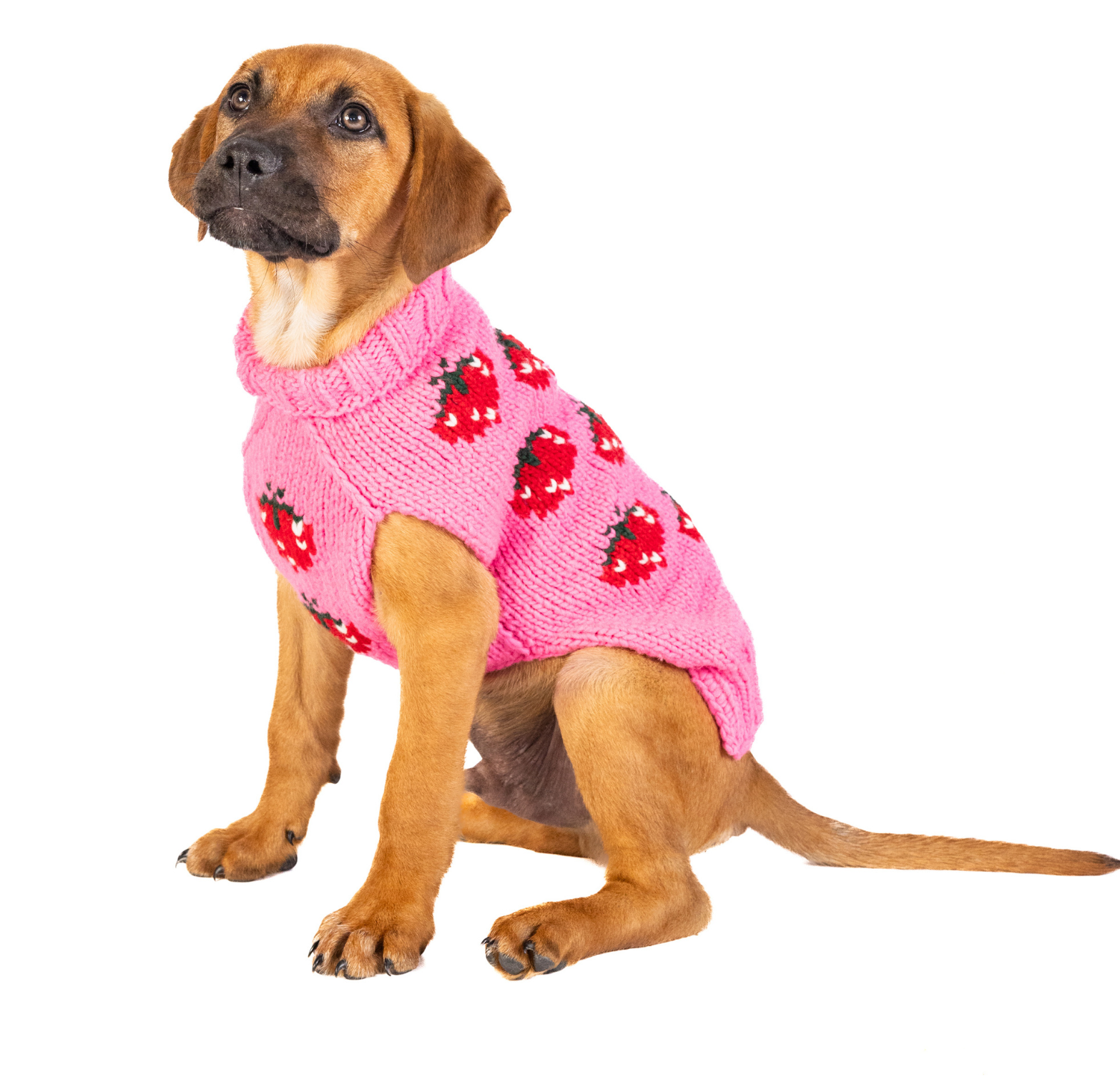 Dog Sweater Strawberry