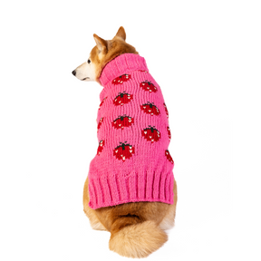 Dog Sweater Strawberry