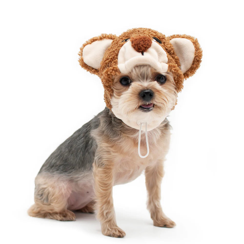 Dogo Pet - Teddy Bear Hat Costume