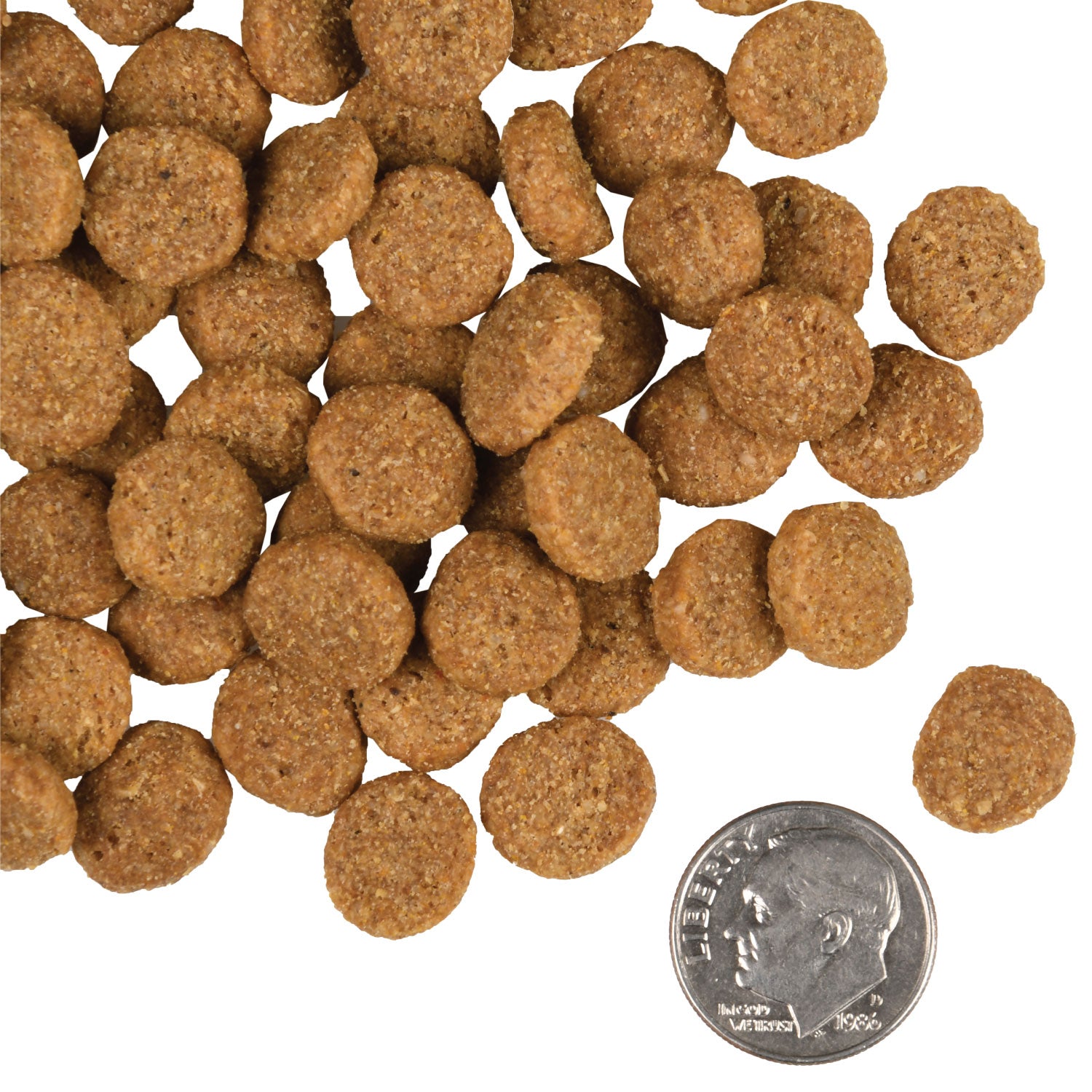 Fromm Gold - Large Breed Adult Dry Dog Food - Southern Agriculture 