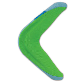 Amphibious Boomerang Dog Toy