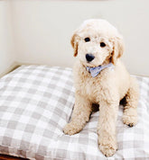 Dog Bed Warm Stone Gingham