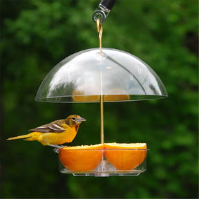 Droll Yankee - Bird Feeder Seed Saver Domed