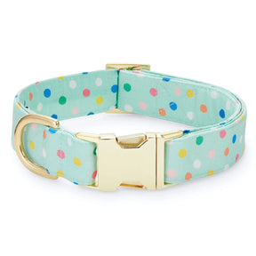 Dog Collar Confetti