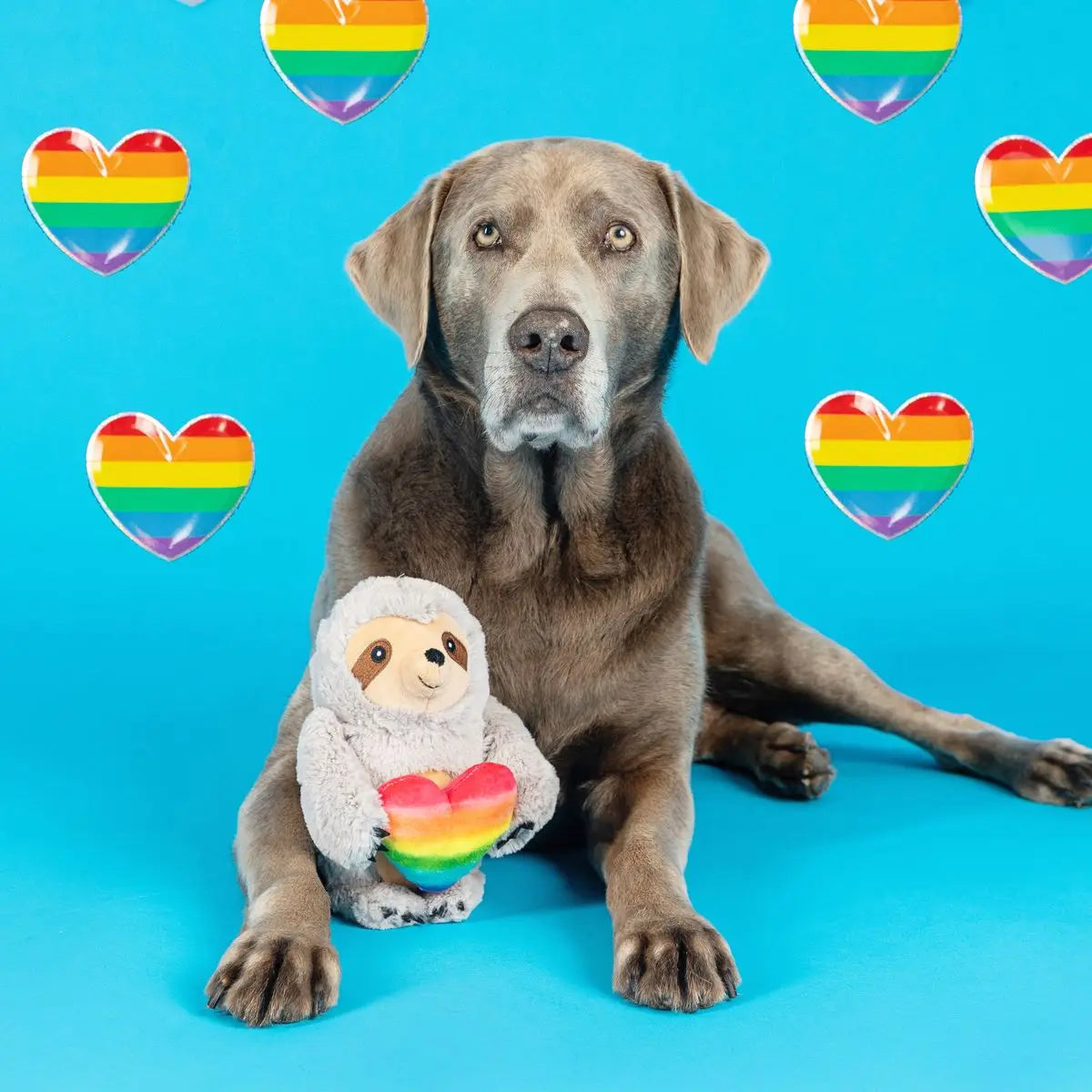 Petshop by Fringe Studio - Follow Your Rainbow Dog Toy