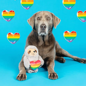 Petshop by Fringe Studio - Follow Your Rainbow Dog Toy