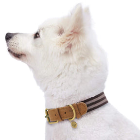 Chocolate and Taupe | Full Grain Leather & Polyester Dog Collar