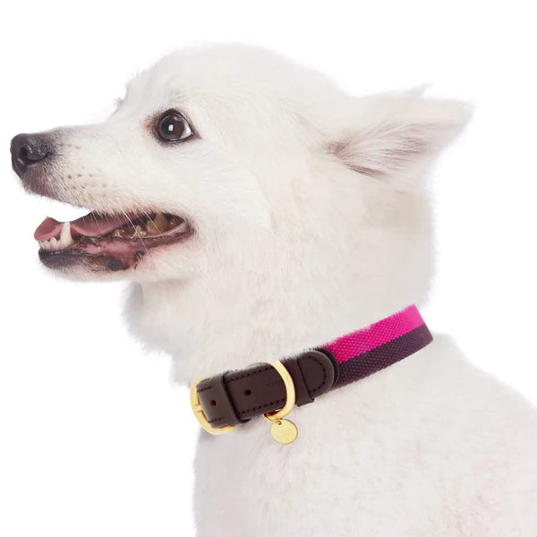 Hot Pink & Purple | Full Grain Leather & Polyester Dog Collar