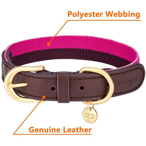 Hot Pink & Purple | Full Grain Leather & Polyester Dog Collar