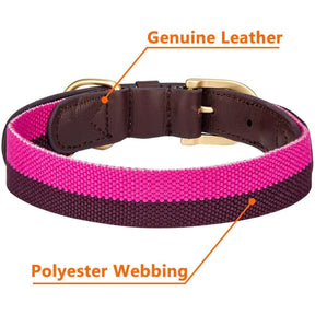 Hot Pink & Purple | Full Grain Leather & Polyester Dog Collar