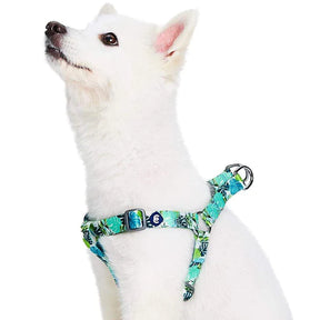 Bahamas Vacation Dog Harness