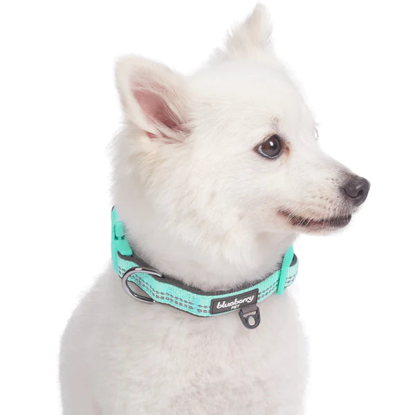 Pastel Mint Blue | 3M Reflective Neoprene Padded Dog Collar