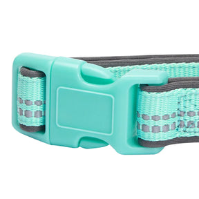 Pastel Mint Blue | 3M Reflective Neoprene Padded Dog Collar