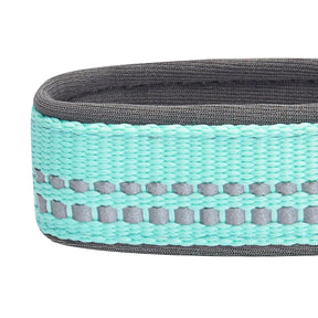 Pastel Mint Blue | 3M Reflective Neoprene Padded Dog Collar