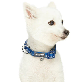 Navy | 3M Reflective Neoprene Padded Dog Collar