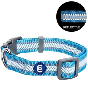 Sky Blue | Back to Basics Reflective Dog Collar