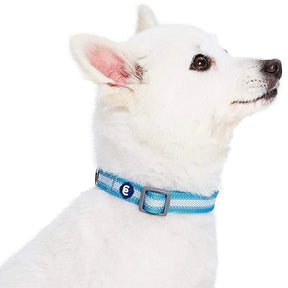 Sky Blue | Back to Basics Reflective Dog Collar