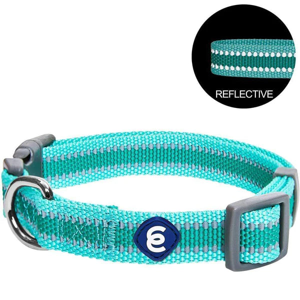 Minty Green | Back to Basics Reflective Dog Collar