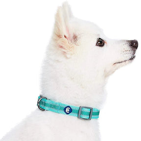 Minty Green | Back to Basics Reflective Dog Collar