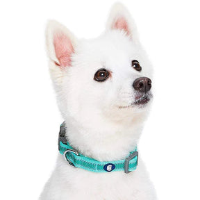 Minty Green | Back to Basics Reflective Dog Collar