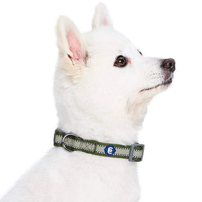 Olive | Back to Basics Reflective Dog Collar