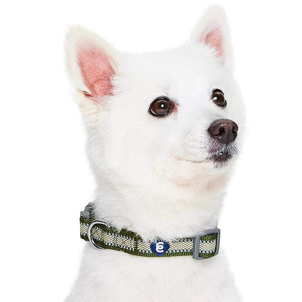 Olive | Back to Basics Reflective Dog Collar