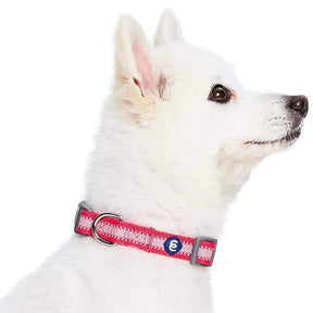 French Pink | Back to Basics Reflective Dog Collar