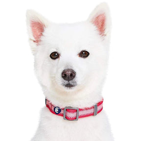 French Pink | Back to Basics Reflective Dog Collar